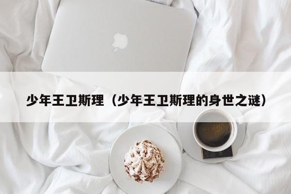 少年王卫斯理（少年王卫斯理的身世之谜）